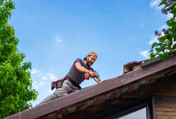 Best Slate Roofing  in Shenandoah, IA